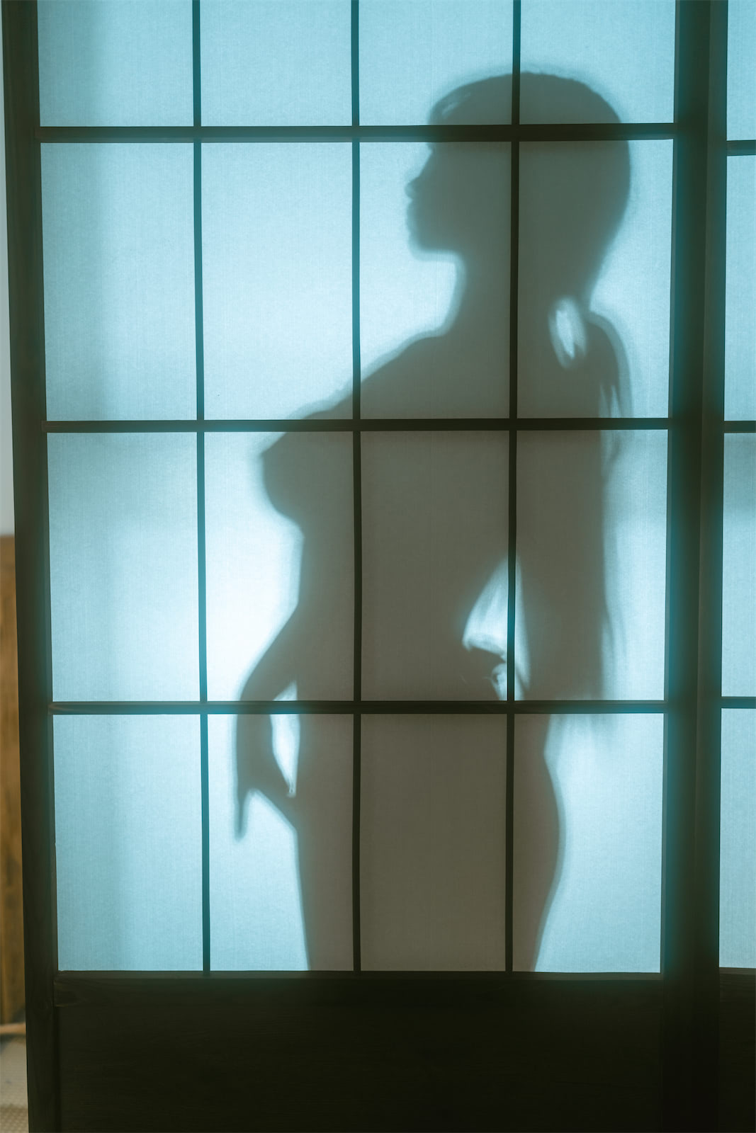 桜井宁宁绳艺巫女62p