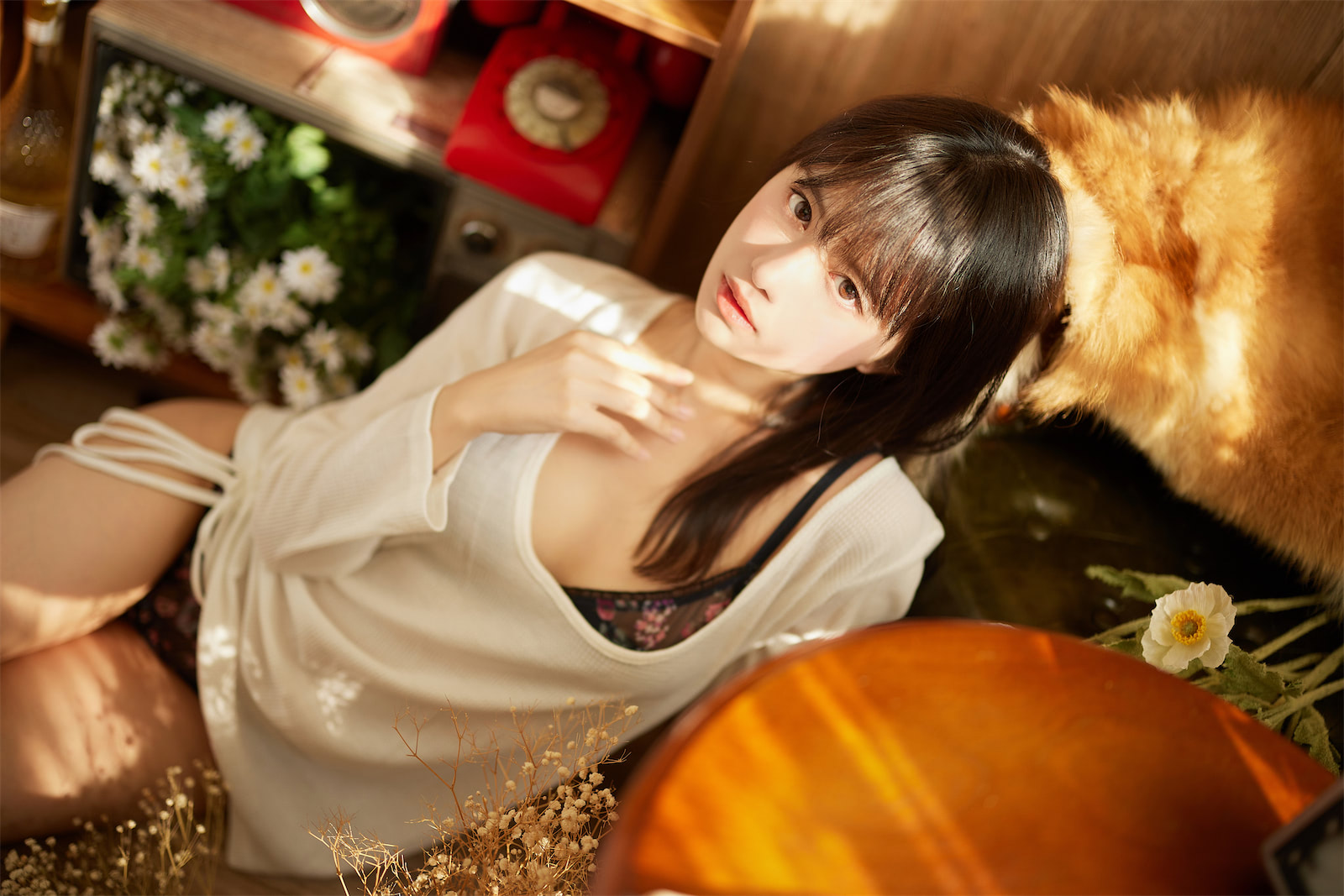 Shika小鹿鹿鹳鸟踟蹰