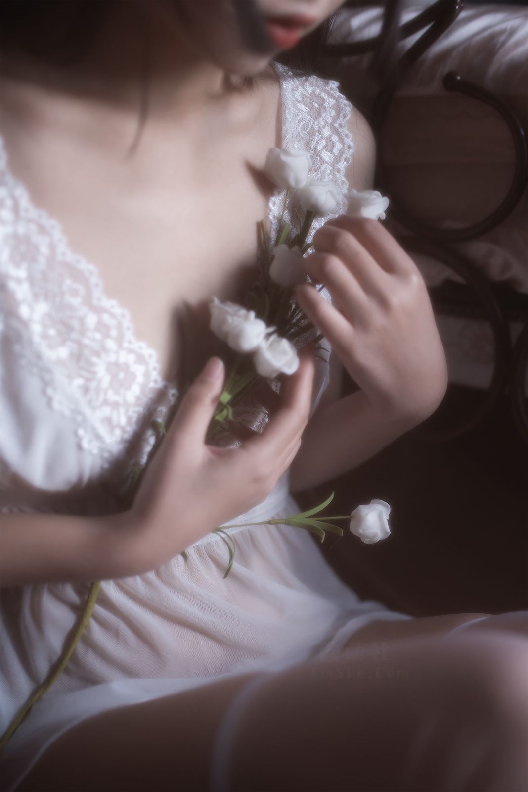 不呆猫白月光53p