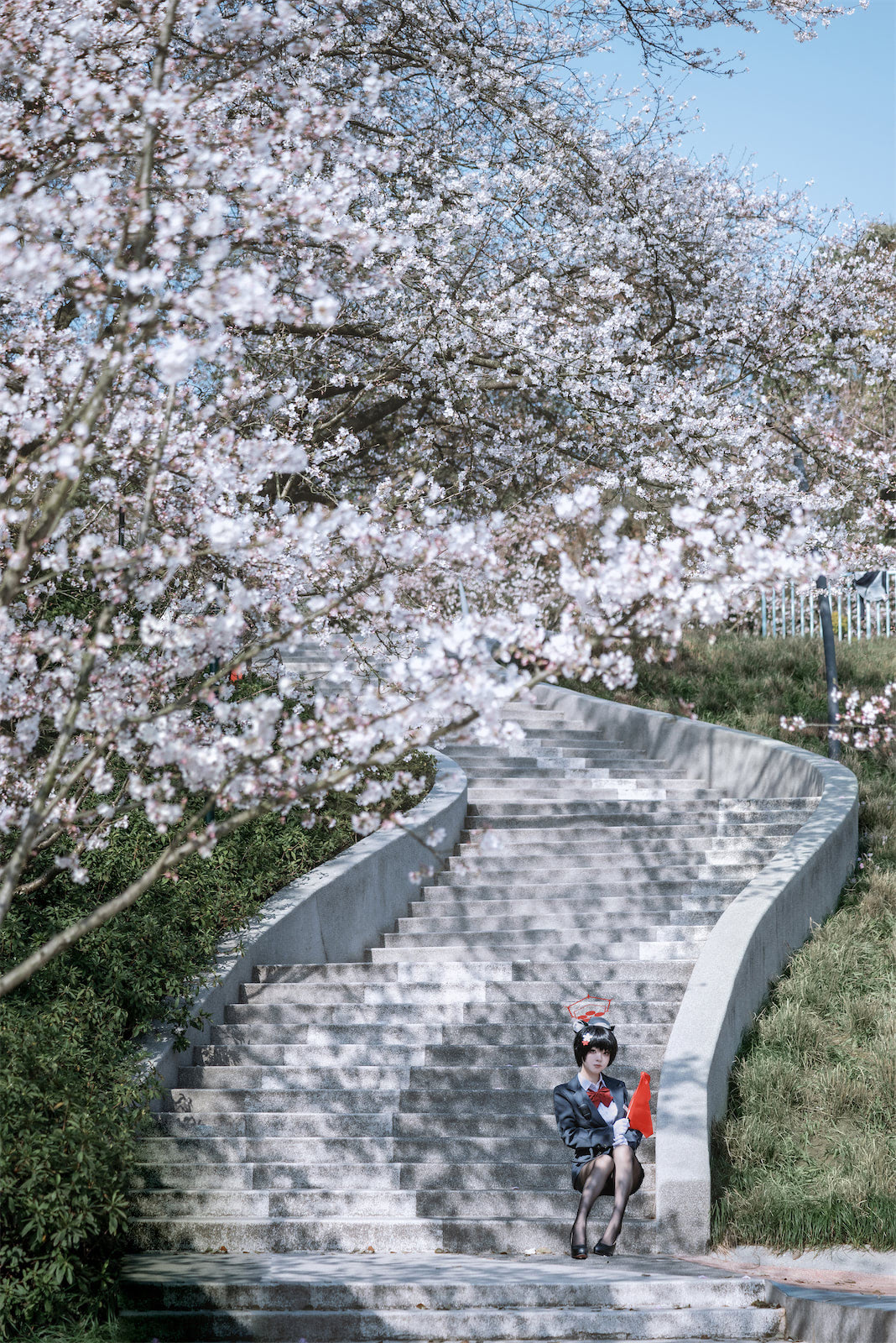 矢量鱼椿导游32p