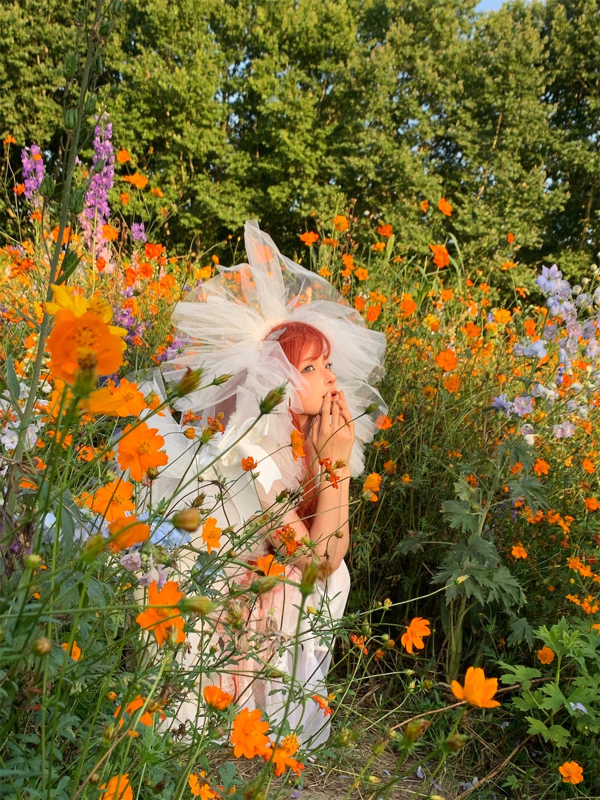 蠢沫沫草丛婚纱67p