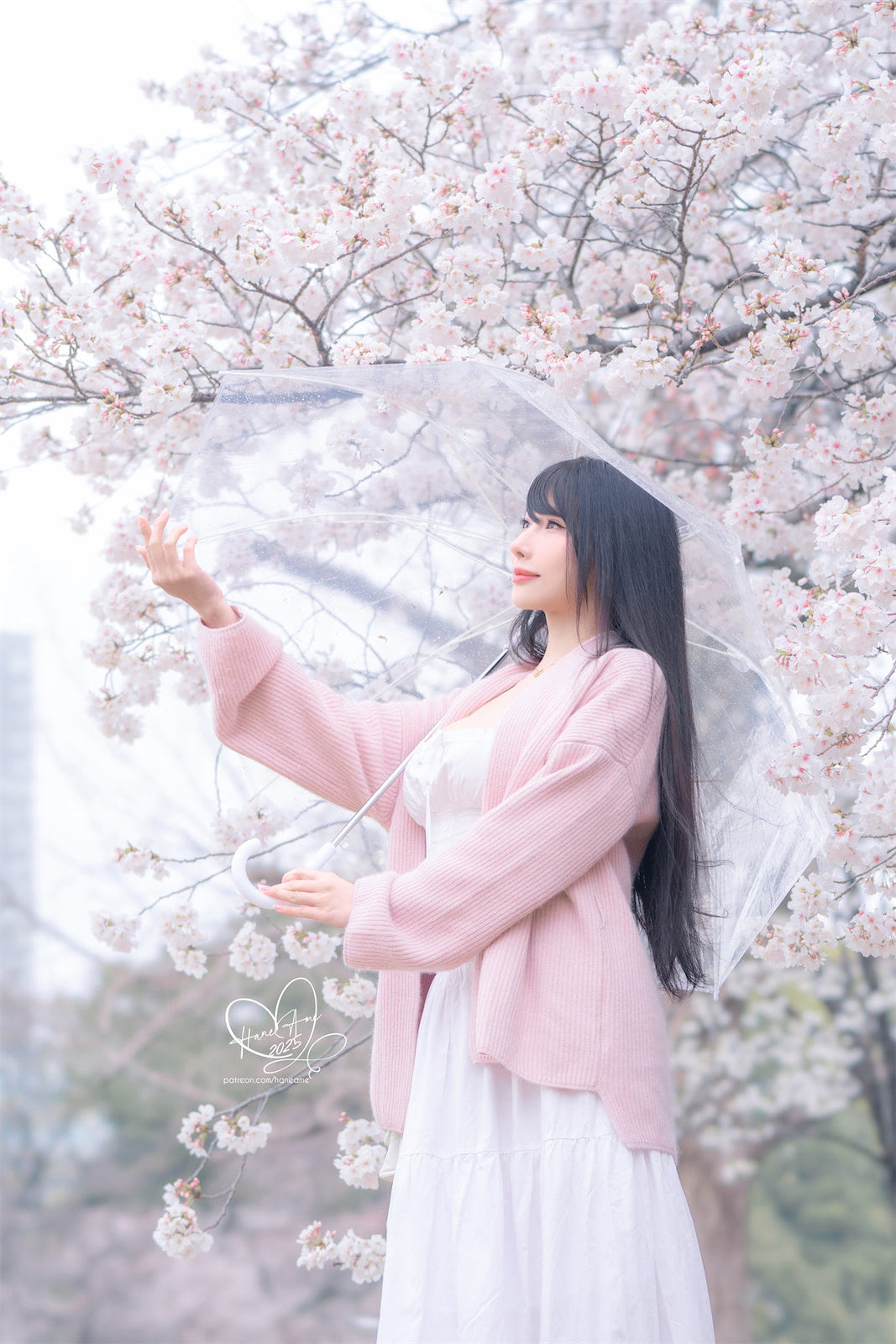 HaneAme雨樱下的约定60p_1