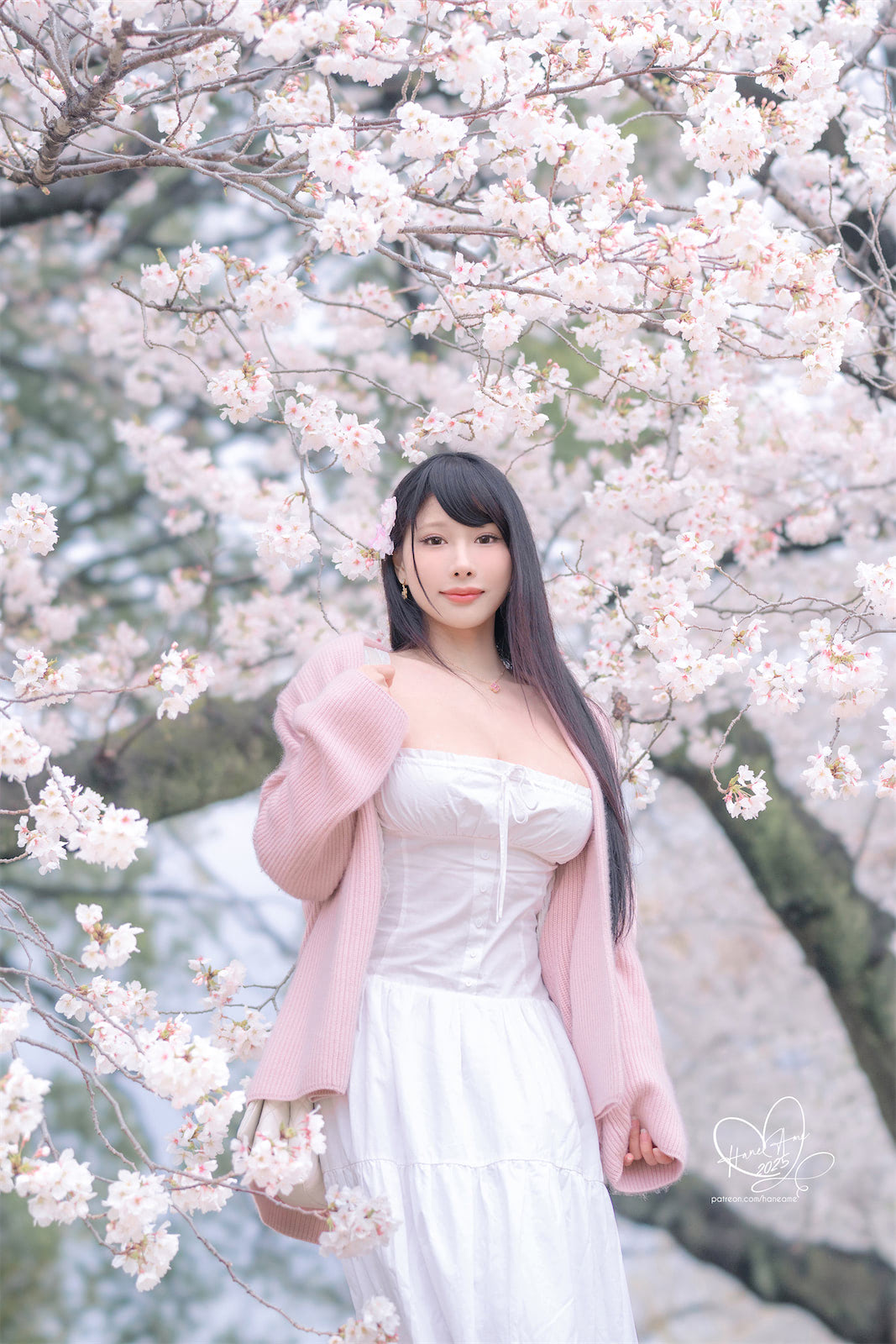 HaneAme雨樱下的约定60p_2