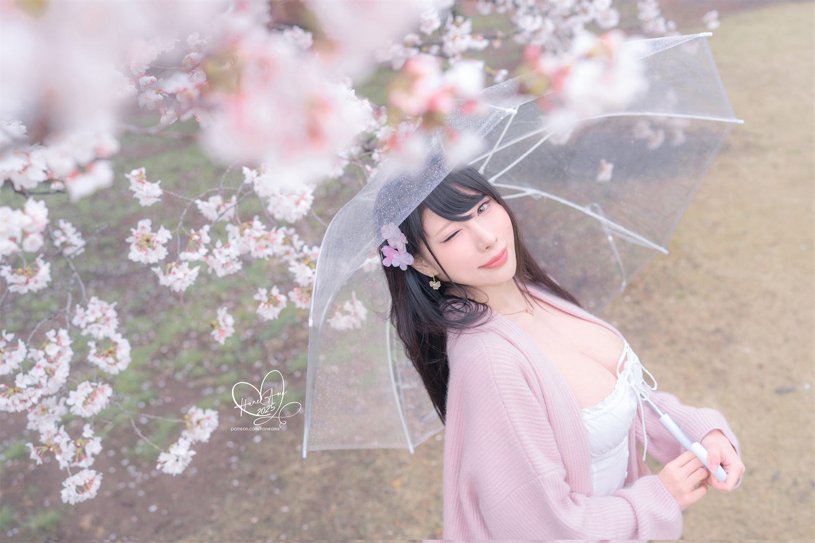 HaneAme雨樱下的约定60p_4