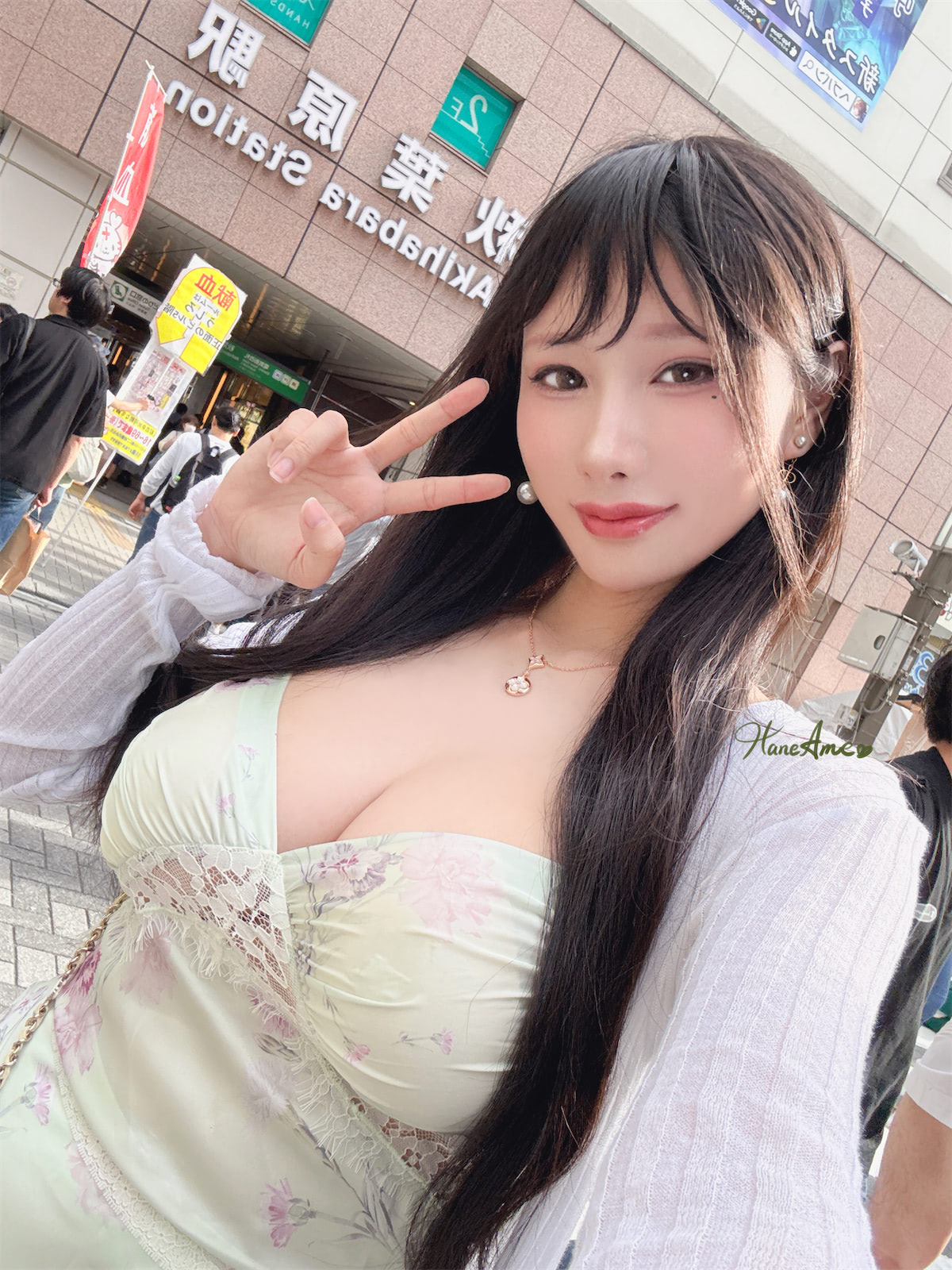 HaneAme女友Ani玫瑰刚好绽放50p